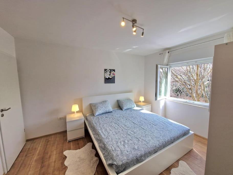 Apartment Novi Nps *